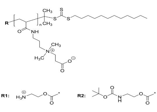 Poly(carboxybetaine acrylamide)